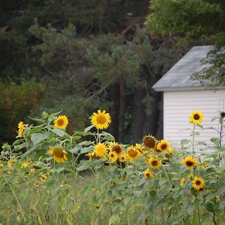 Clary Lake Bed And Breakfast Jefferson Exterior foto